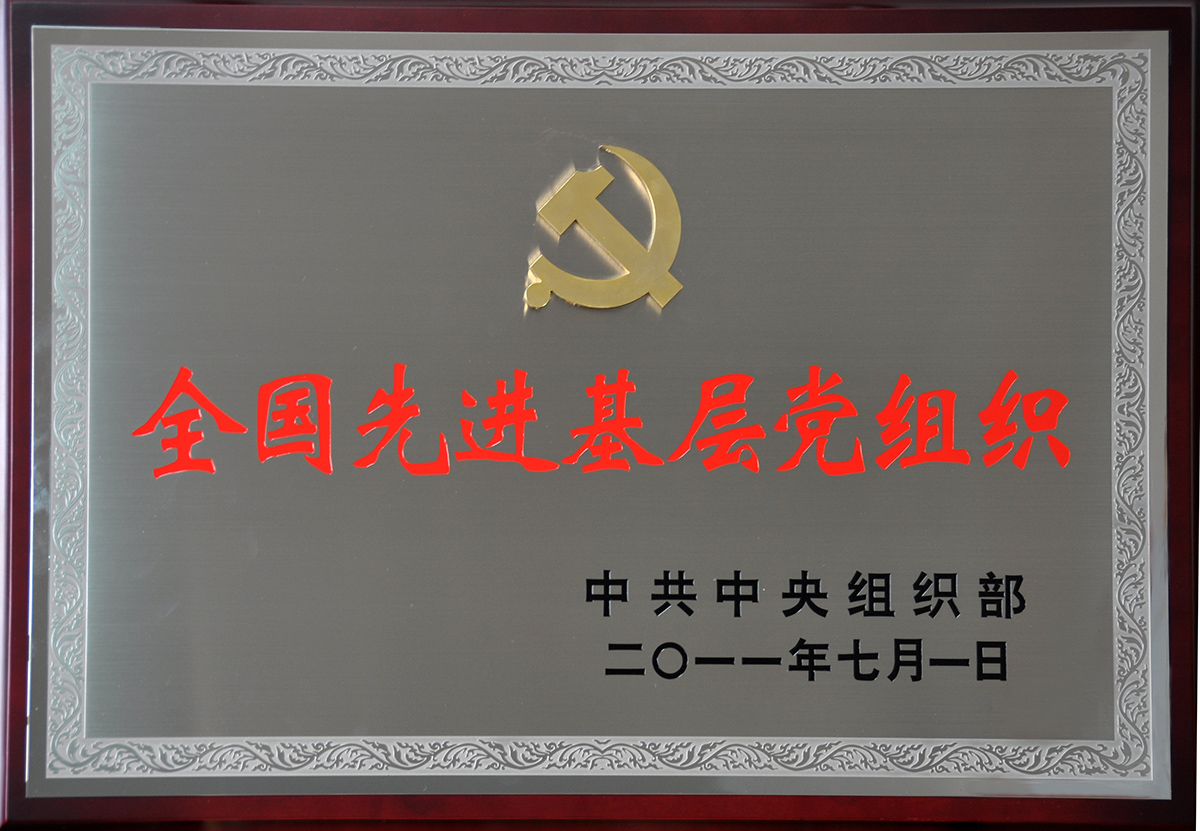 2011年7月，紅豆集團黨委榮獲“全國先進(jìn)基層黨組織”稱號